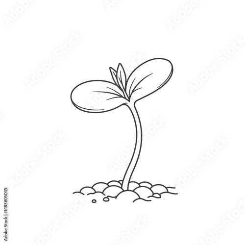 Little seedling sprout cute cartoon outline line art illustration. Gardening farming agriculture coloring book page activity worksheet for kids