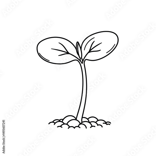 Little seedling sprout cute cartoon outline line art illustration. Gardening farming agriculture coloring book page activity worksheet for kids
