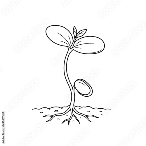 Little seedling sprout cute cartoon outline line art illustration. Gardening farming agriculture coloring book page activity worksheet for kids