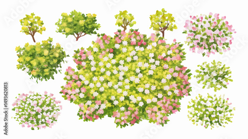 Top View Collection of Blooming Shrubs & Trees