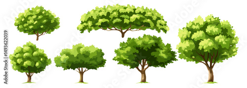 Collection of Lush Green Trees, Isolated on White Background