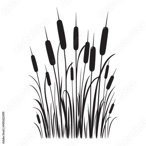 Silhouette Cattails Vector Illustration Marsh Plants Graphic Design Element
