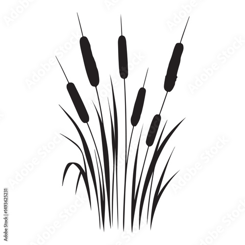 Silhouette Cattails Bulrush Illustration Vector Image for Graphic Designs