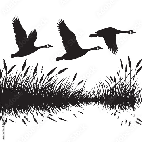 Geese in Flight Silhouette Vector Illustration with Marsh Scenery
