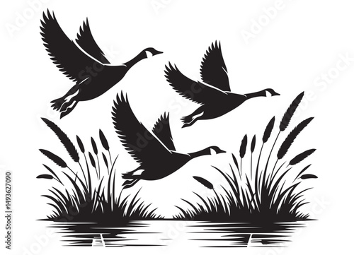 Three Geese Flying Over Marshland Wildlife Silhouette Illustration Vector Art