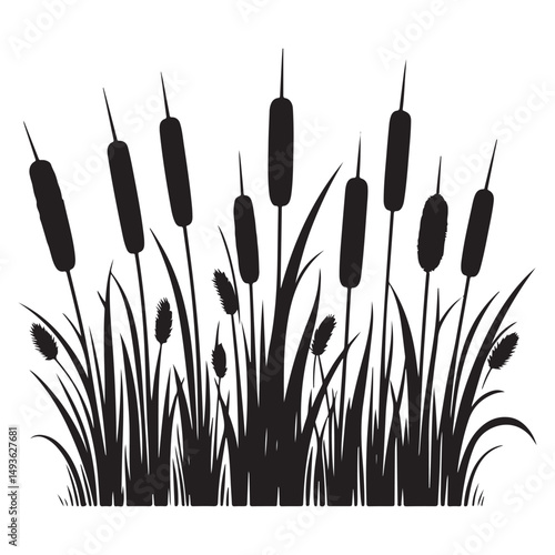 Dense cattail silhouette field vector illustration for wildland designs