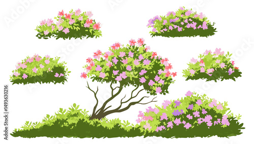 Hand-drawn Rhododendron Bushes & Tree Illustrations
