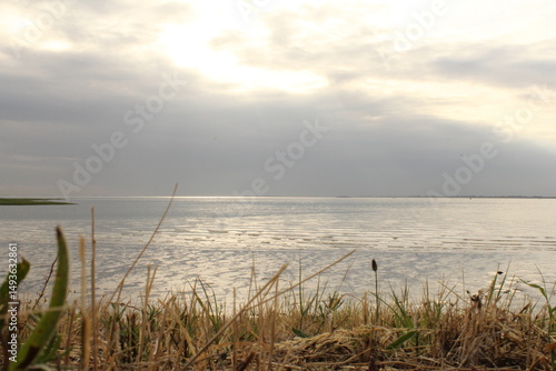 a beautiful seascape in the evening with grass in front of the sea and a light grey sky
