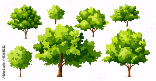 Collection of Green Trees: Various Sizes & Styles for Design