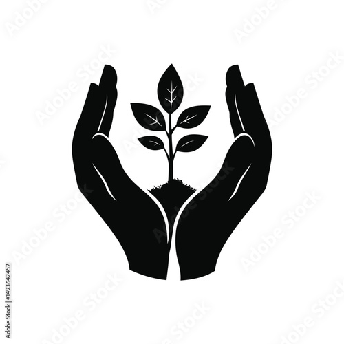 Cultivating Growth How to Nurture Your Seedling Garden and Foster a Thriving Green Space