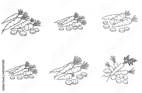Fresh organic carrots whole and sliced line art illustration