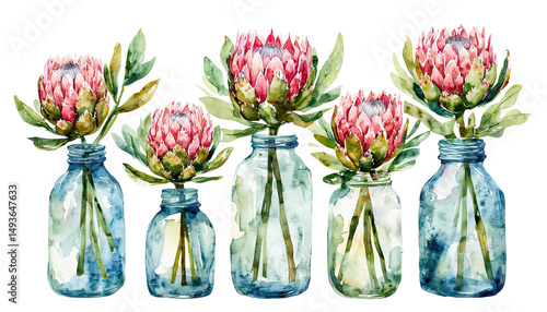 Fototapeta Naklejka Na Ścianę i Meble -  a watercolor painting depicts five pink protea flowers arranged in vintage blue glass bottles tied with twine.