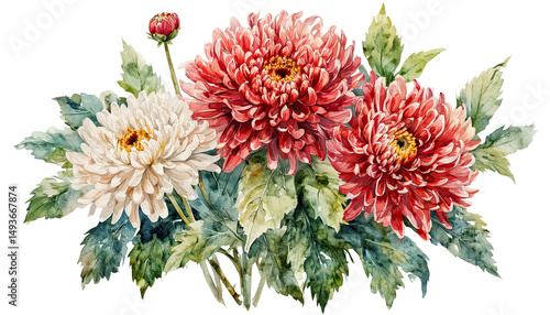 Fototapeta Naklejka Na Ścianę i Meble -  a delicate watercolor painting showcases a vibrant bouquet of crimson and creamy white chrysanthemums with lush green foliage.