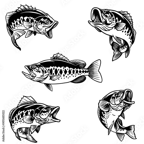 Pesca