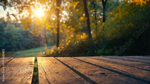 Sunlit wooden picnic table in a tranquil forest setting at sunset