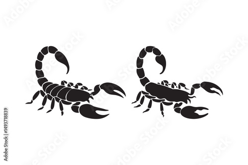 Two Scorpion Silhouette Vector