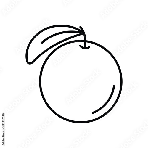 Orange Vector icon