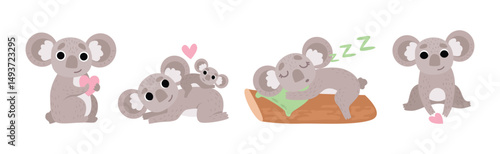 Adorable Koala Grey Animal in Various Actions Vector Set