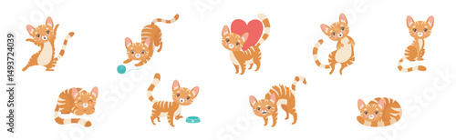 Cat Pet and Domestic Animal with Cute Snout Vector Set