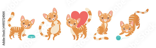Cat Pet and Domestic Animal with Cute Snout Vector Set