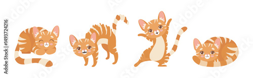 Cat Pet and Domestic Animal with Cute Snout Vector Set