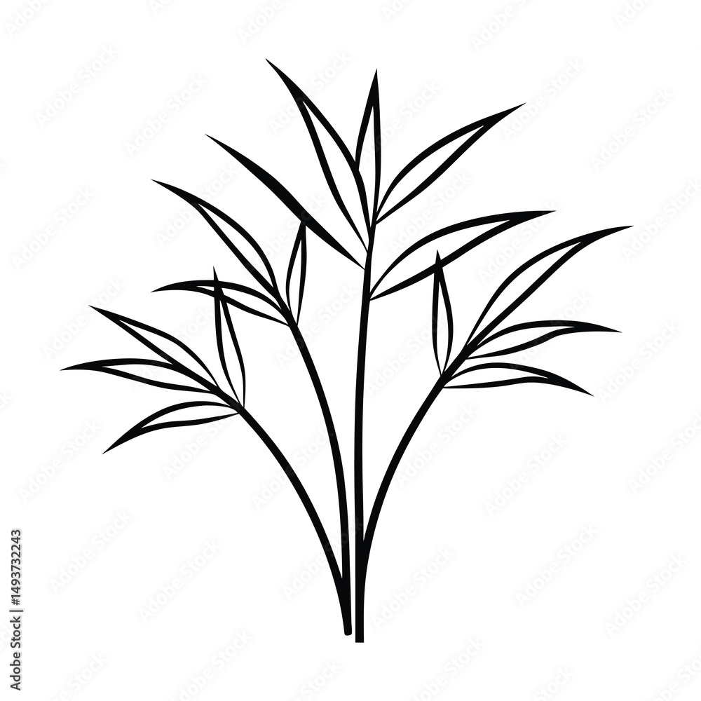 Fototapeta premium vector illustration of bamboo