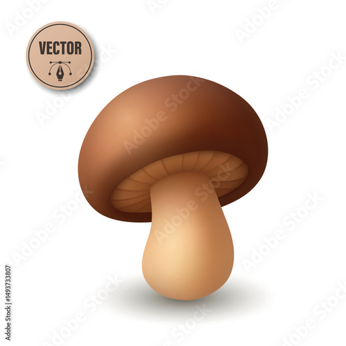 Cute Vector 3D Realistic Mushroom Icon. Cartoon Fungi Illustrations Closeup Isolated on White Background. Mushroom Fungi Clipart, Design Template for Nature Botanical Concept