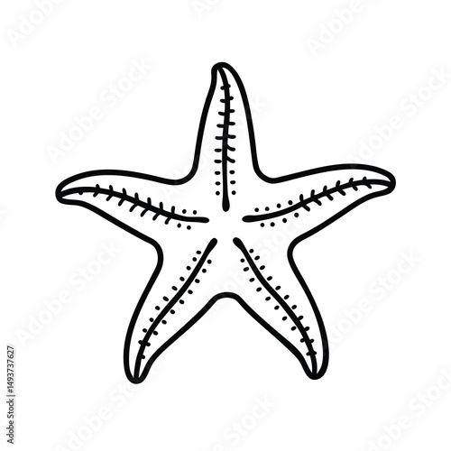 starfish on white background