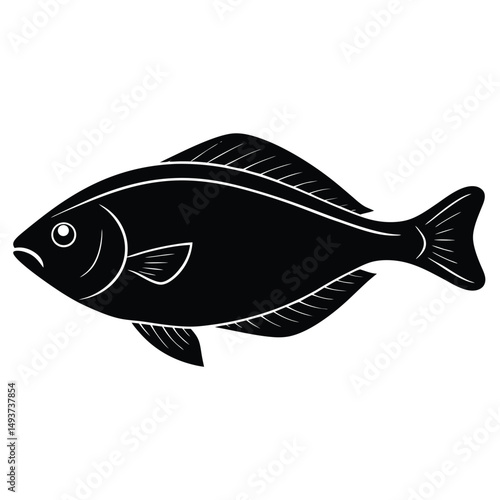 fish on a white background