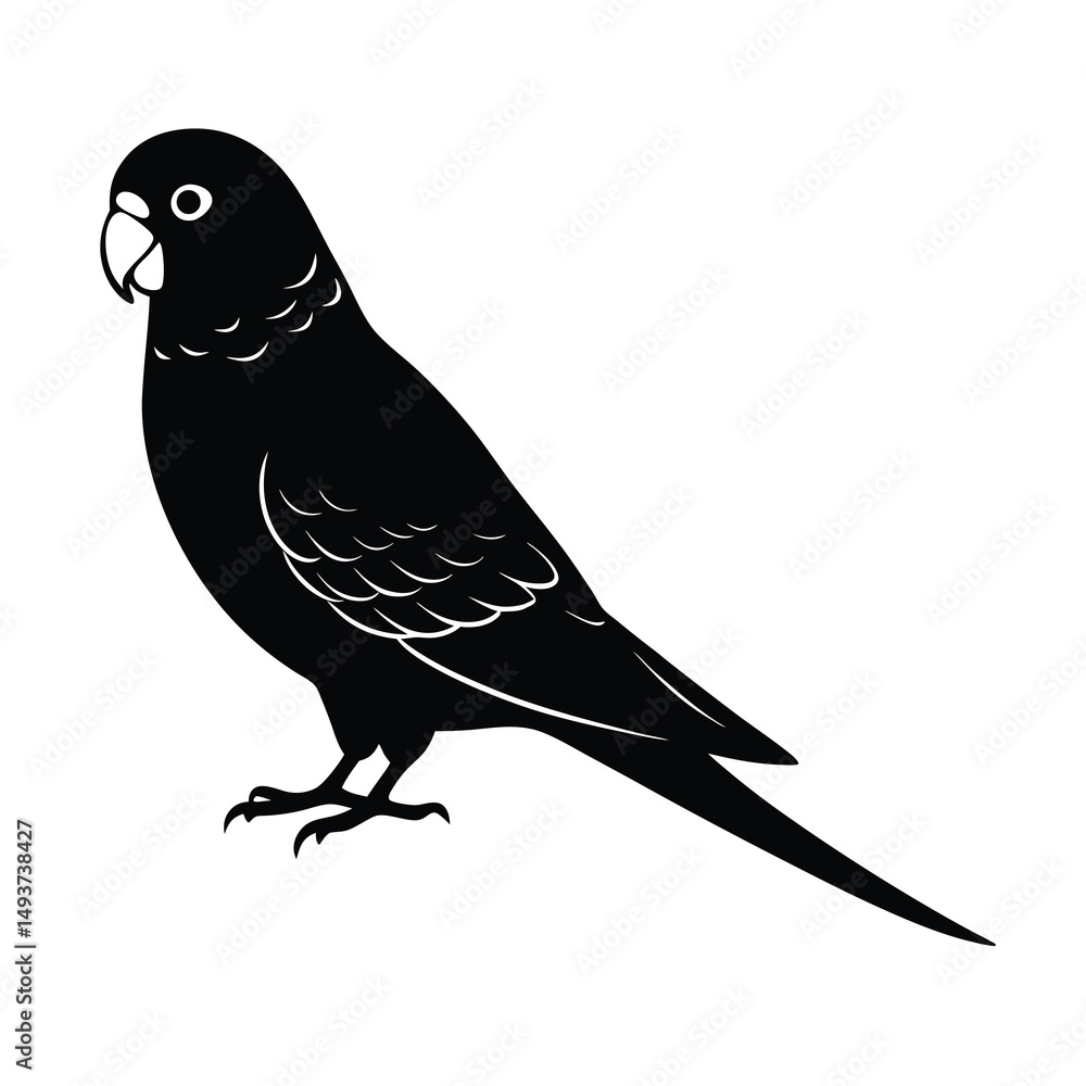 Obraz premium budgerigar parrot silhouette black vector