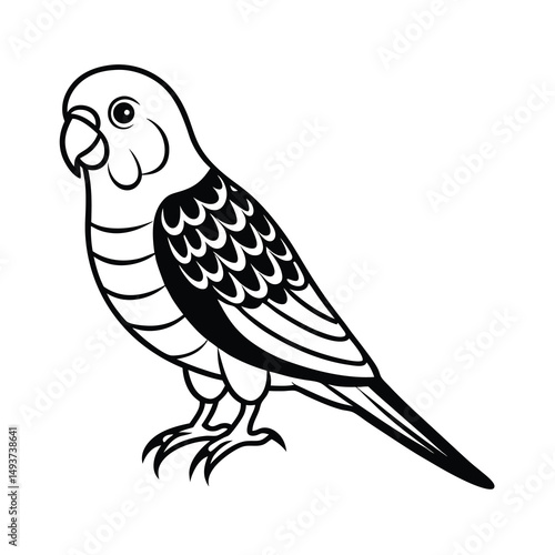 budgerigar parrot silhouette black vector