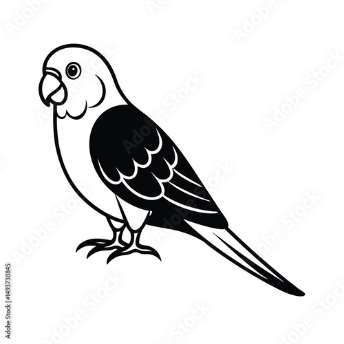 budgerigar parrot silhouette black vector