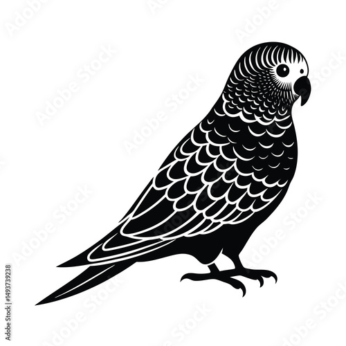 budgerigar parrot silhouette black vector