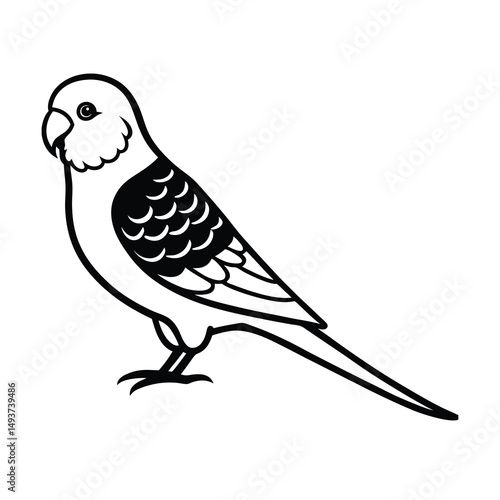 budgerigar parrot silhouette black vector