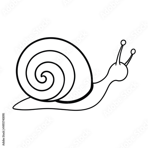 escargot line art vector