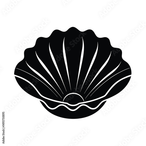 seashell vector illustration