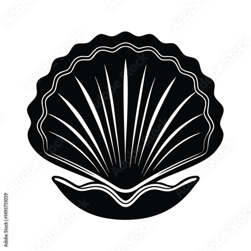 seashell vector illustration
