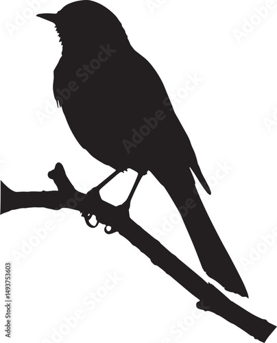 This artwork is digitally enhanced using AI and manually edited for quality. A bird Icon and logo on a White Background - Simple Vector Illustration