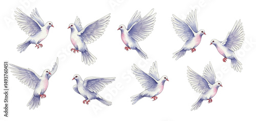 Adobe Illustrator Artwork