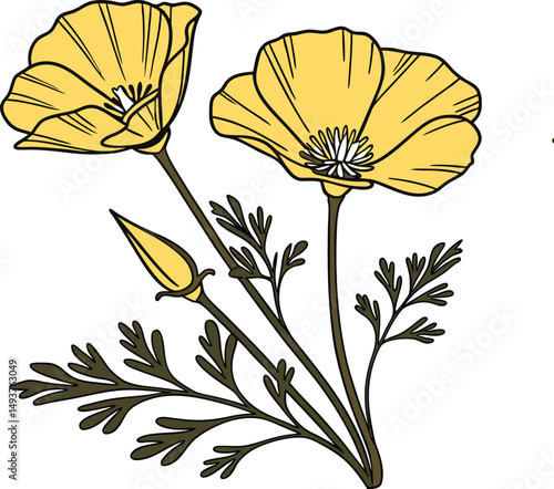 California flower clipart vector design.