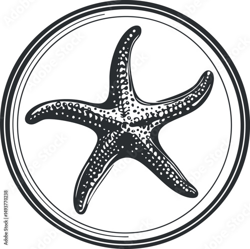 Black and white illustration of a starfish inside a circular frame, representing marine life and ocean nature