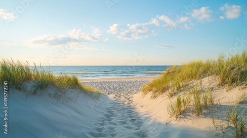 Sandy path leading to the beach with clear blue sky and gentle waves in the background