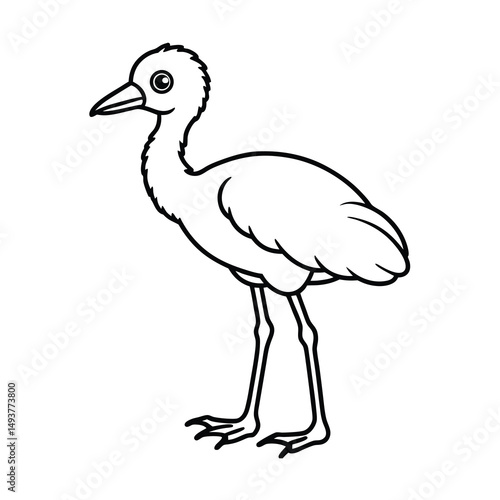 saddle billed stork chick line art vector