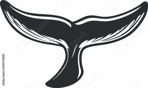 Black and white illustration of a whale tail fluke in a diving position representing marine life and ocean wildlife