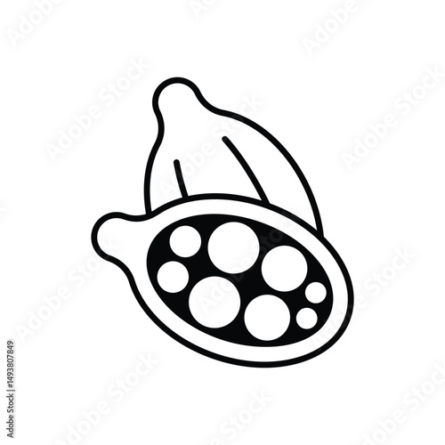 Cardamom Vector icon