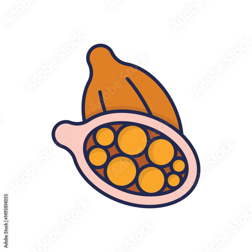 Cardamom Vector icon
