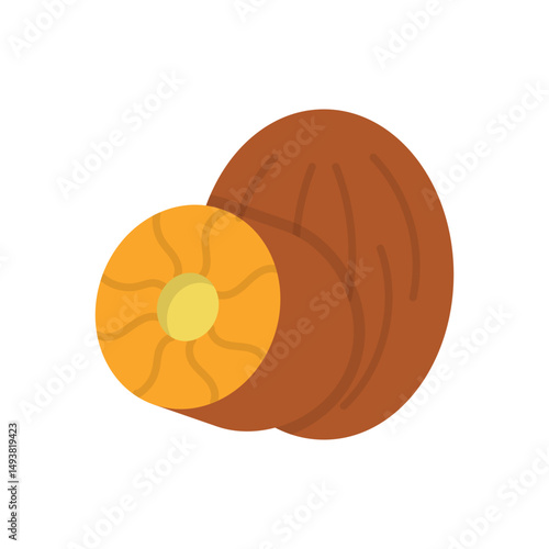 Nutmeg Vector icon