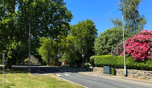 Fototapeta Naklejka Na Ścianę i Meble -  A peaceful sunlit street adorned with lush trees, vibrant pink flowers, and a bordering stone wall. A small traffic sign and street lamps stand under the clear blue sky in, Adel, Leeds, UK