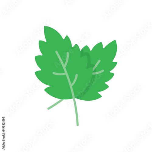 Mint Vector icon
