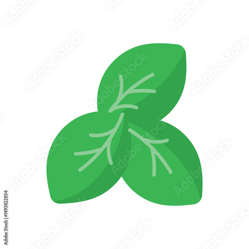 Oregano Vector icon